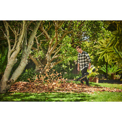 Person som använder en lövblåsare för att samla löv på en gräsmatta under ett träd.